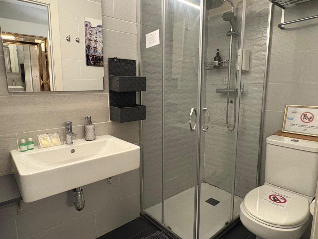 Baño de la habitación doble económica en Hotel Ginebra