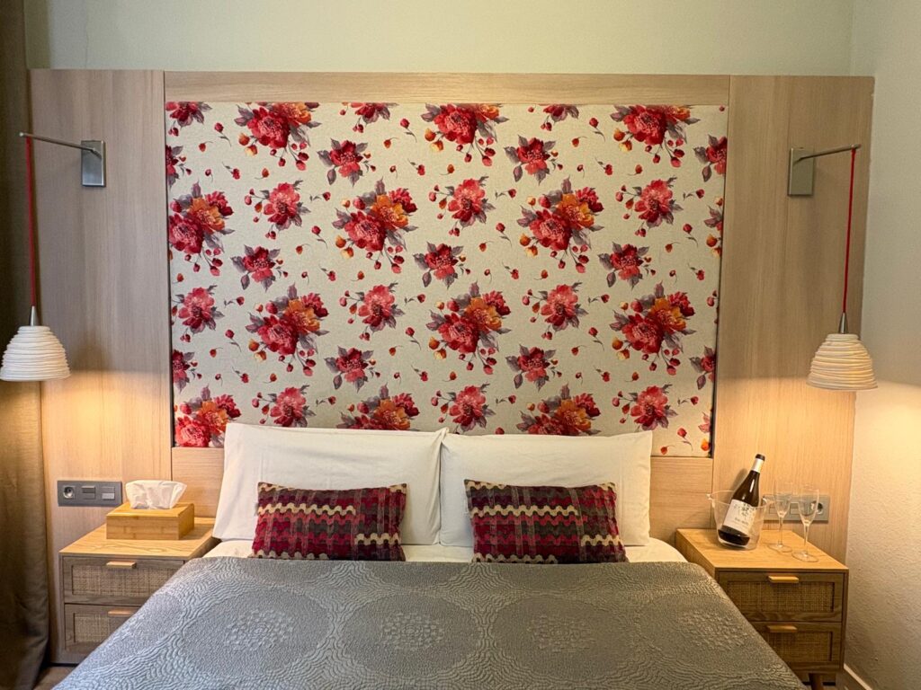 Habitación doble económica en Hotel Ginebra